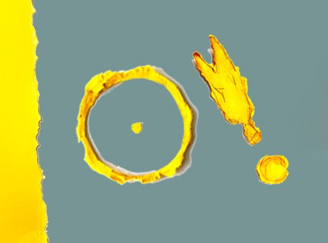 Erwachen kann man auch im Stehen